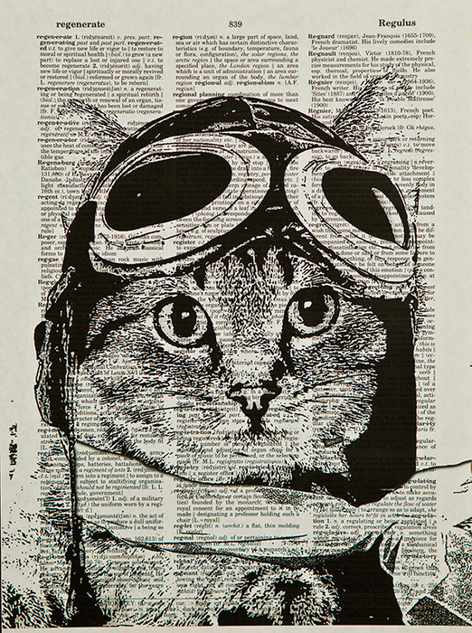 [귀여운 동물그림 아트 포스터 액자] Captain kitty