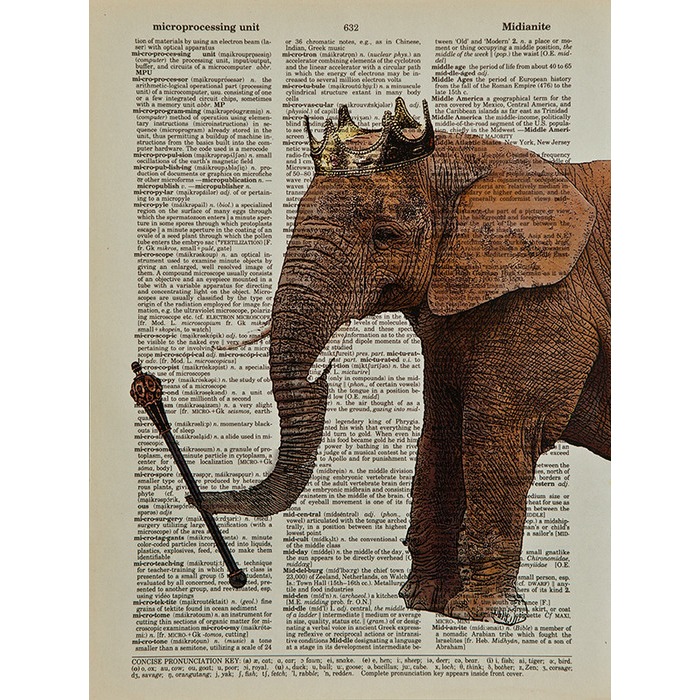 [귀여운 동물그림 아트 포스터 액자] elephant king